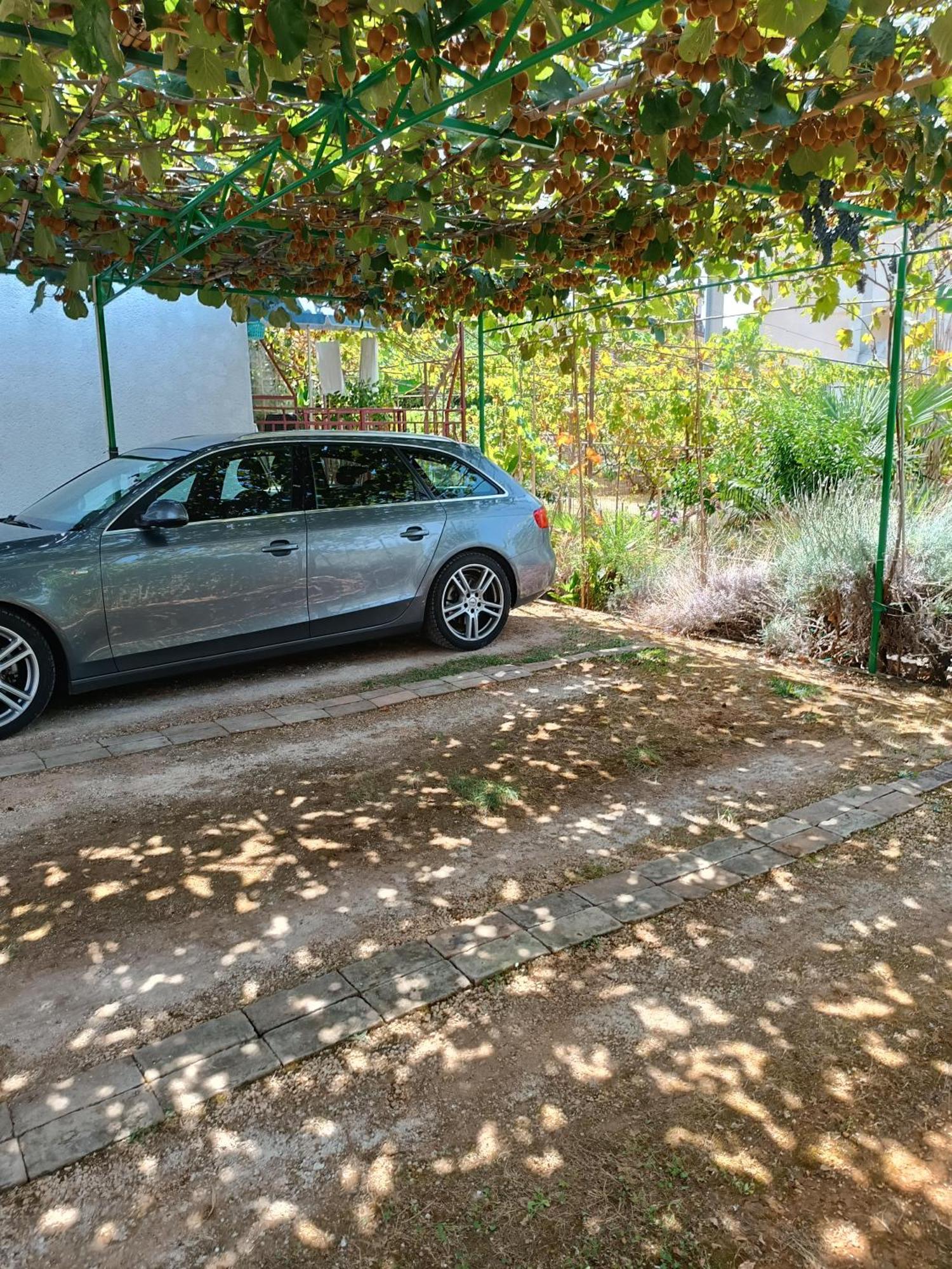 Levak Apartments - Apt. 1 Pjescana Uvala Kültér fotó