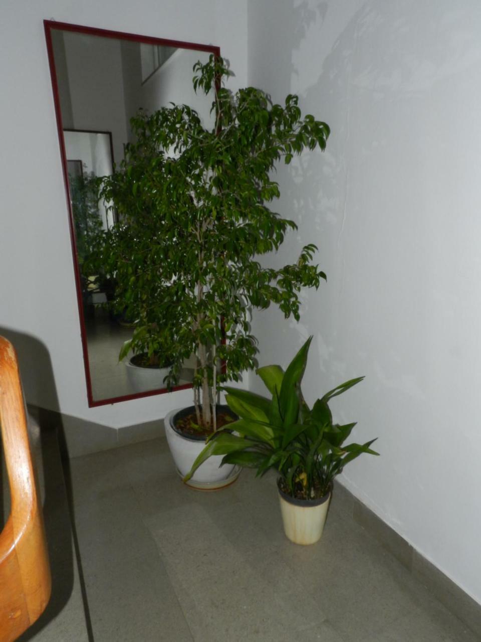 Levak Apartments - Apt. 1 Pjescana Uvala Kültér fotó